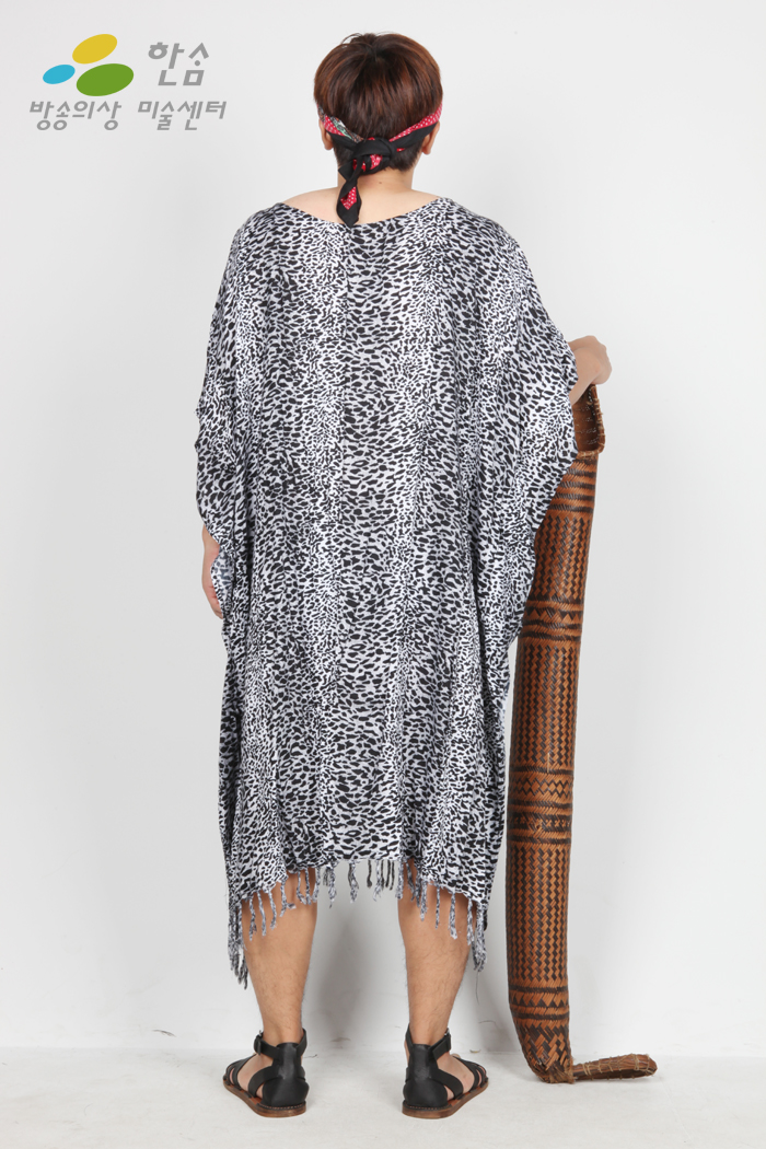 2056.아프리카-남