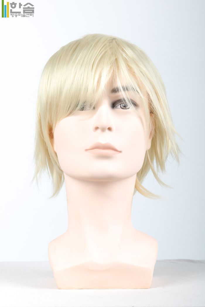 30008.가발(남여공용)