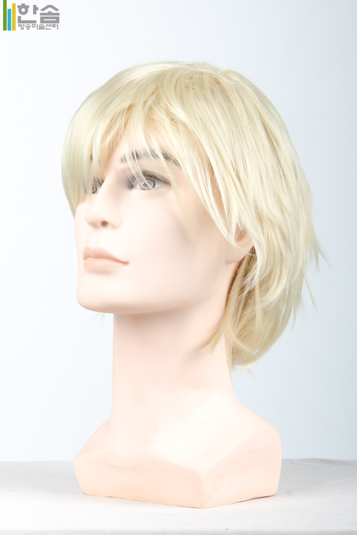 30008.가발(남여공용)