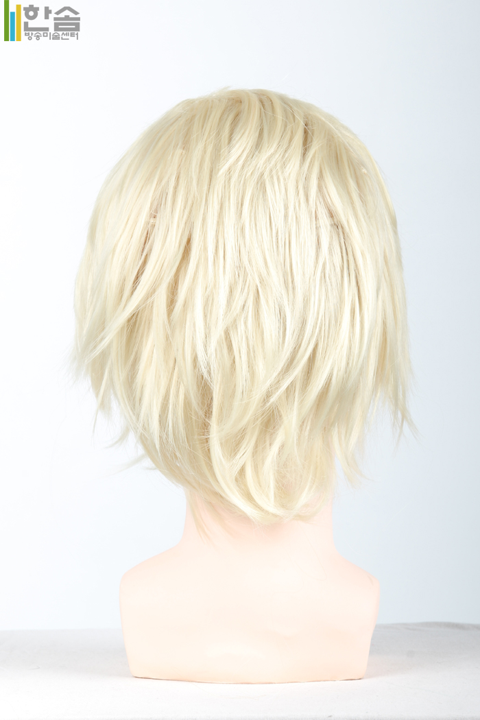 30008.가발(남여공용)