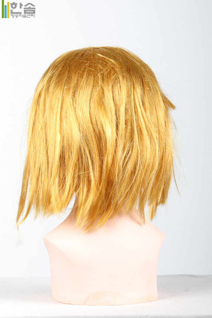 30015.가발(남여공용)