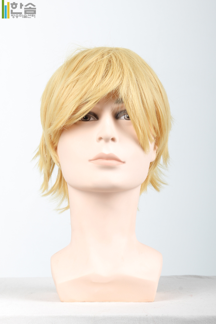 30022.가발(남여공용)