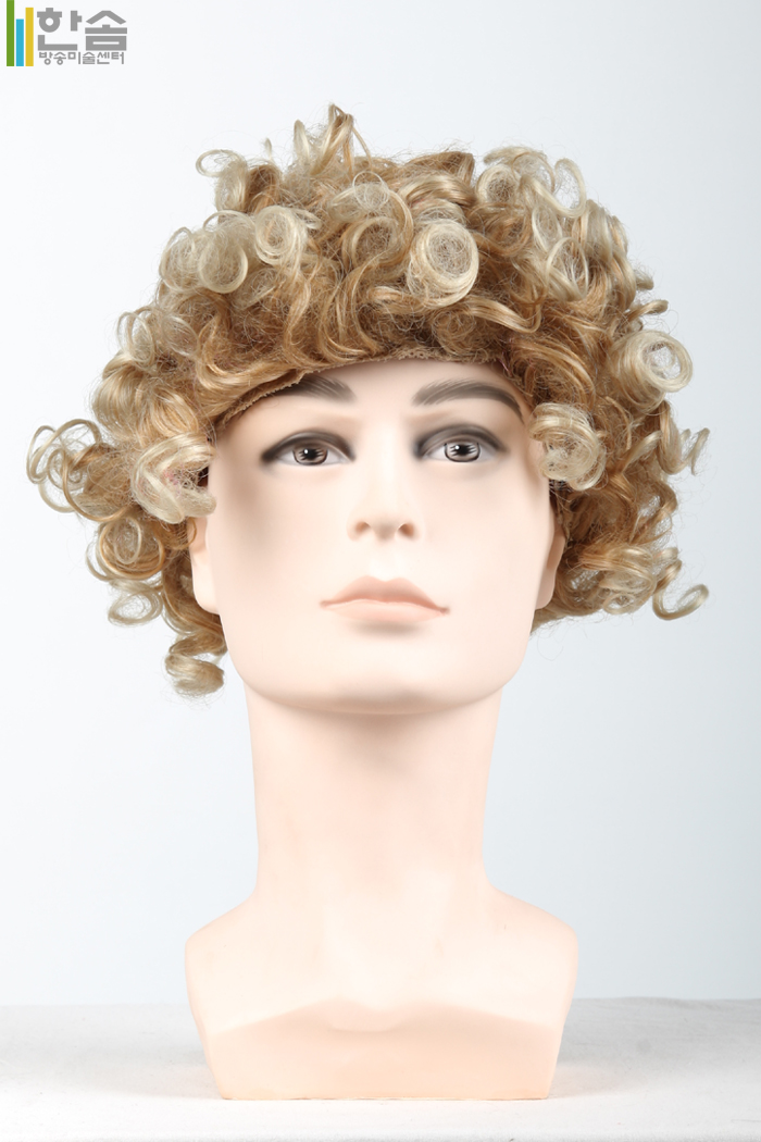 30053.가발(남녀공용)