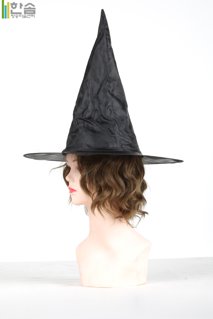 20422.마녀모자