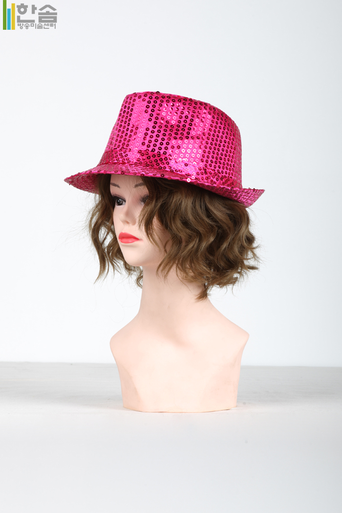 20161.반짝이모자