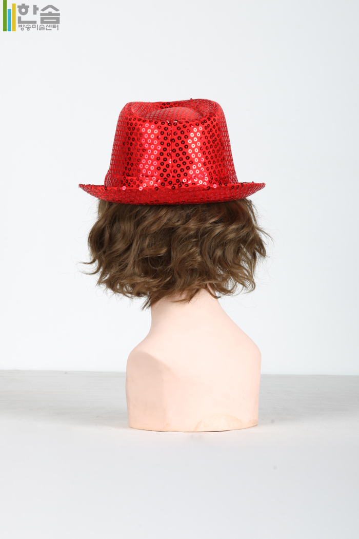 20163.반짝이모자