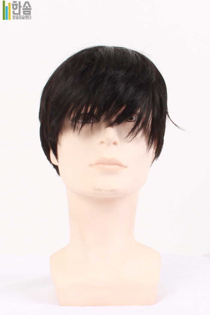 45760.가발(남녀공용)