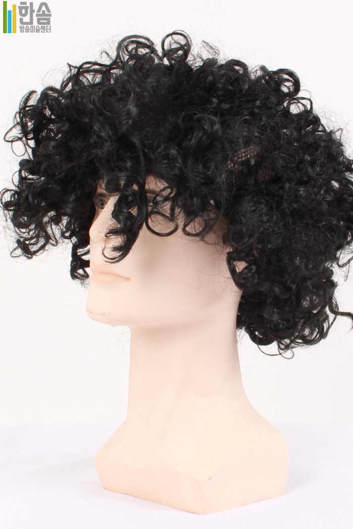 45762.가발(남녀공용)