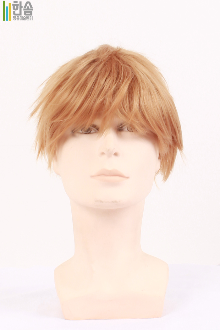 45763.가발(남녀공용)